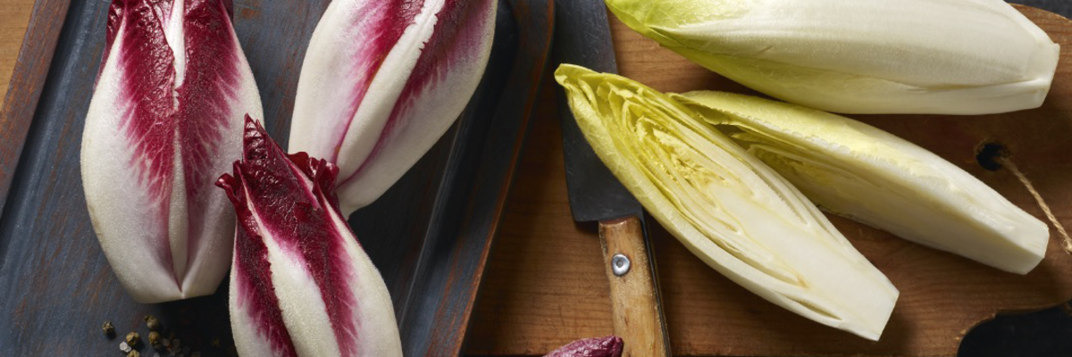 Chicor&eacute;e aus dem Burgenland