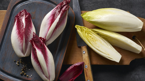 Chicor&eacute;e aus dem Burgenland