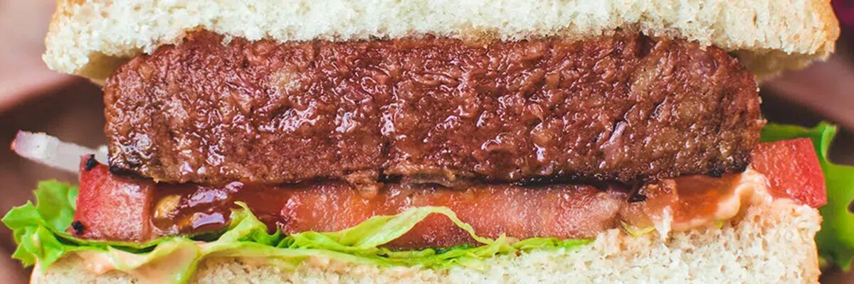 VeggieMeat proizvod bez mesa: njegov se uspjeh oslanja na EDIHúsmentes hamburger: VeggieMea