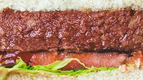 VeggieMeat proizvod bez mesa: njegov se uspjeh oslanja na EDIH&uacute;smentes hamburger: VeggieMea