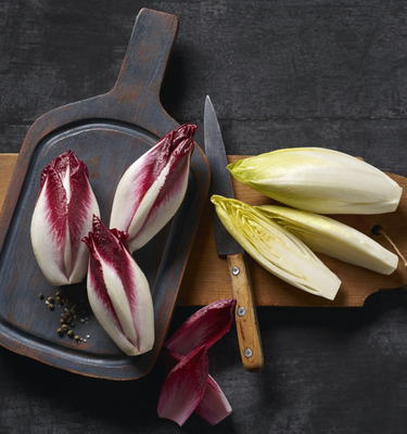 In der Wurzel liegt die Kraft 