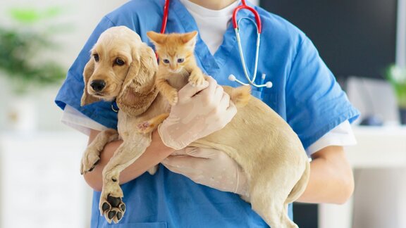 © iStockphoto/FamVeld Katze und Hund beim Tierarzt