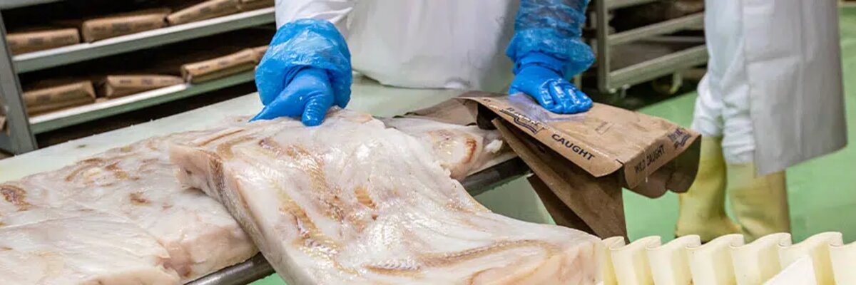 ryba žilina - výroba rybacích produktov