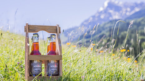 Hoobert-Kola Getränkeflaschen 4-er Tragerl - EDI Intagration für Hoobert