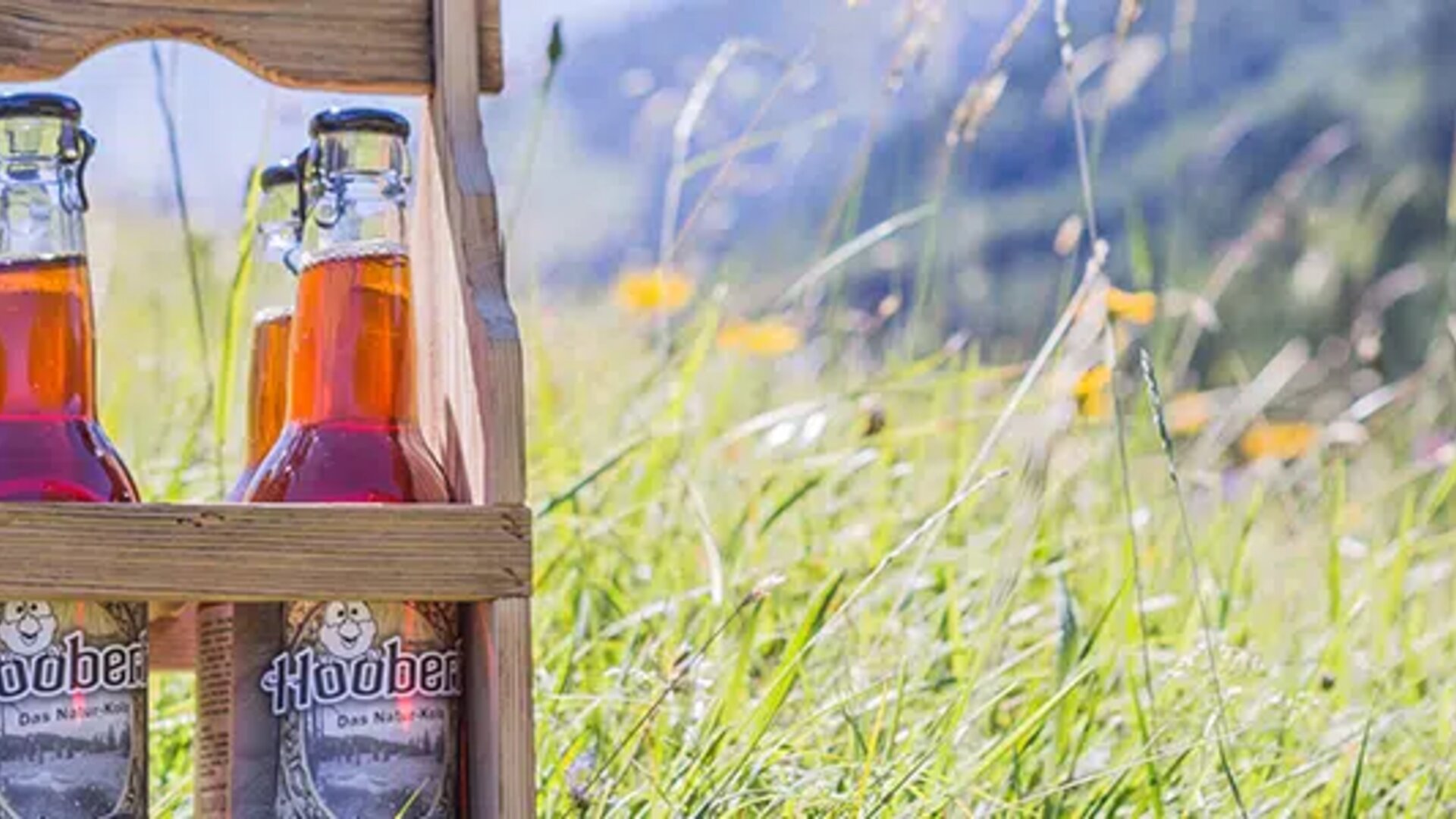 Hoobert-Kola 4 beverage bottles - EDI Intagration for Hoobert