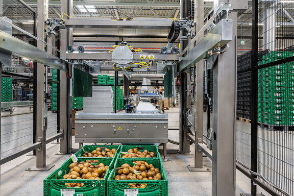 © Dorfinger KG Kartoffelernte bei Dorfinger