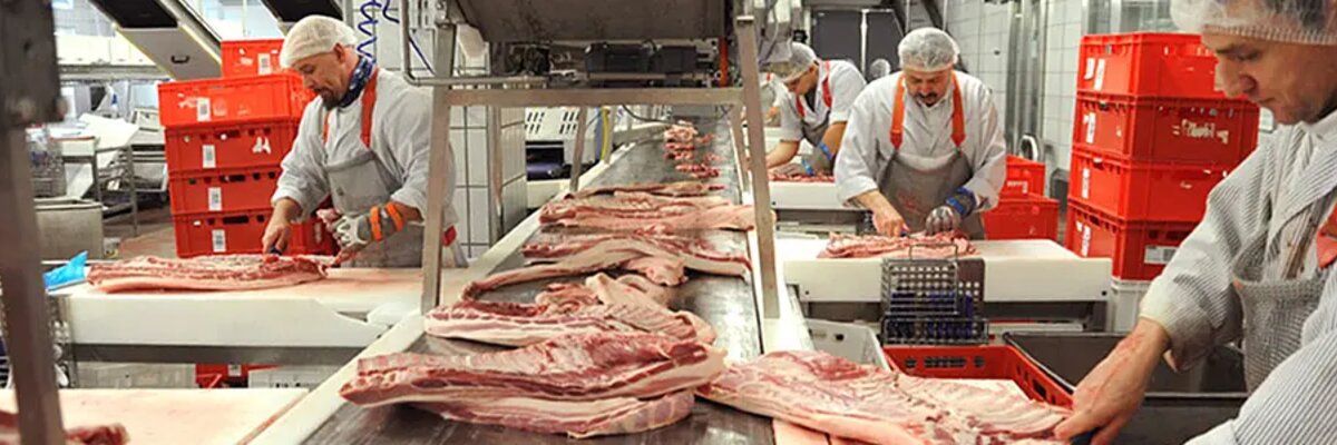 EDI Wiesbauer supply chain prozesse