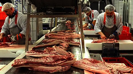 Fleischerproduktionsanlage bei Wiesbauer, der über eXite EDI-Nachrichten austauscht