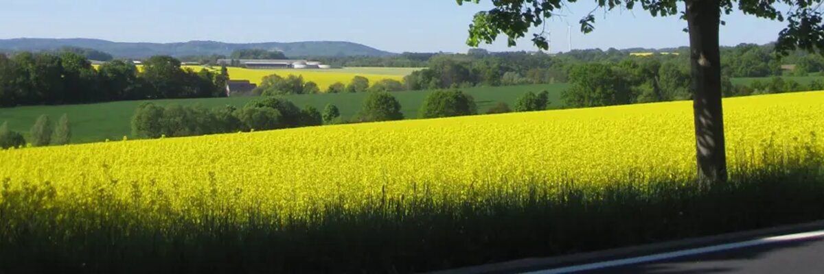 louka plná květin ve významu zemědělský segment Agrofert