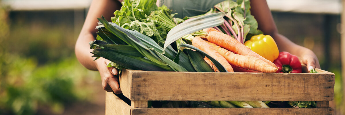 zelenina od společnosti Beskyd Fryčovice