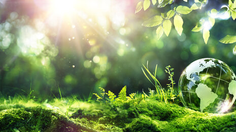 EUDR - Evropské nařízení o odlesňování a EDI komunikace