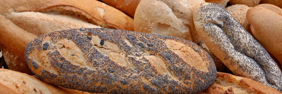 DIfferent types of bread