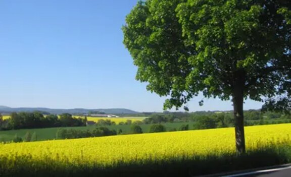 louka plná květin ve významu zemědělský segment Agrofert