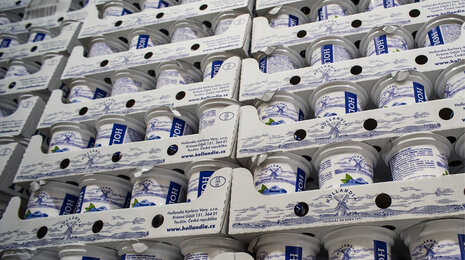 © HOLLANDIA Karlovy Vary, s.r.o. produkty hollandia