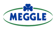 logo Meggle