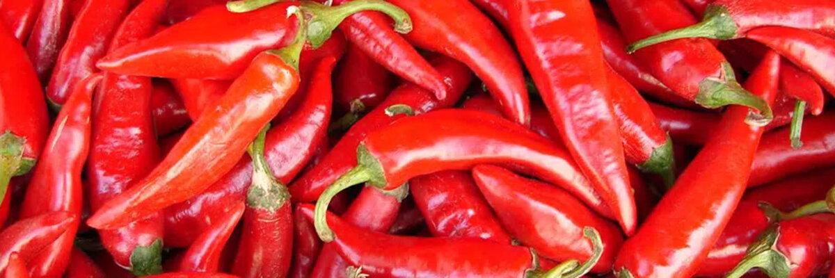 Close-up of red pepers to symolize the EDI services at Szegedi Paprika ZRt.